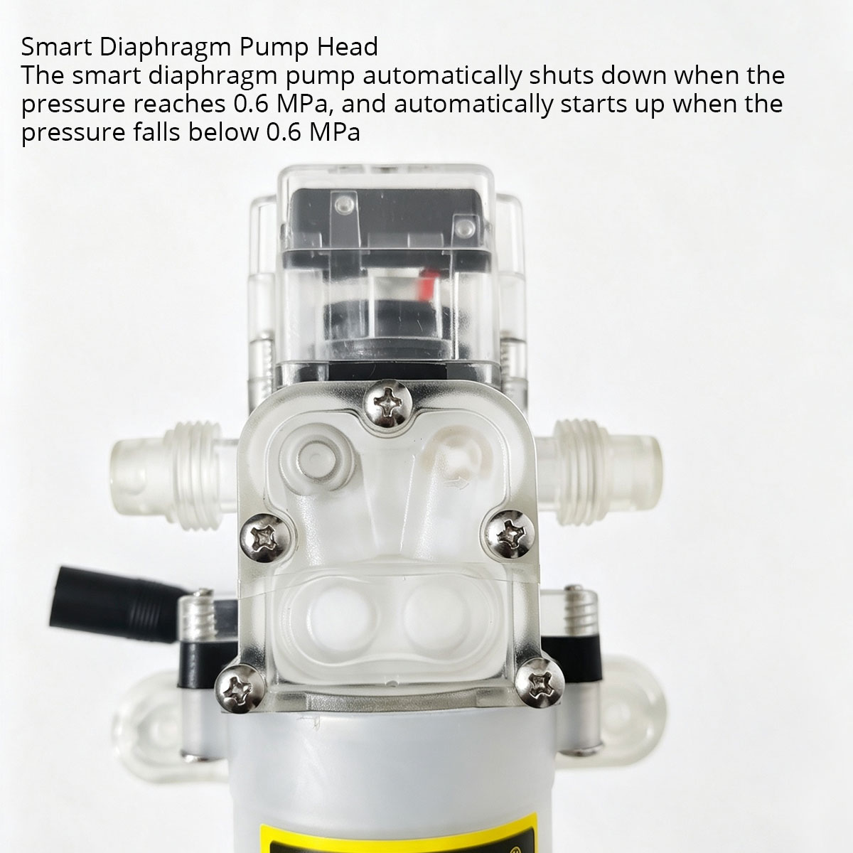 12V 80W Food Grade Diaphragm P - Mini Peristaltic Pump 12V review and price