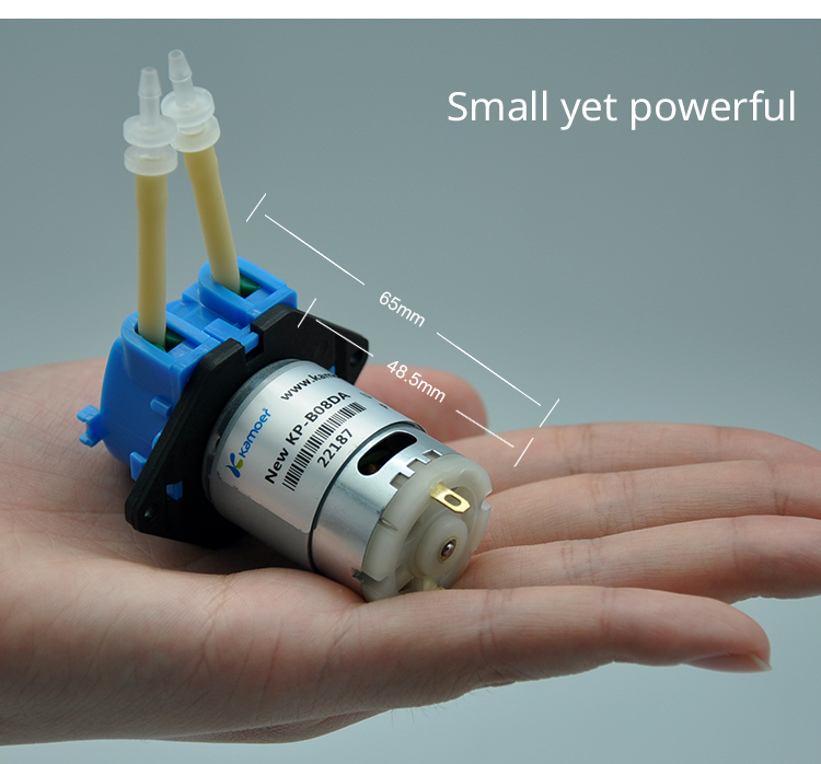 2026 new NKP 6V 12V 24V DC mot - Mini Peristaltic Pump 12V review and price