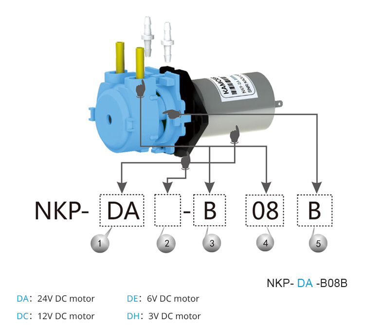 2026 new NKP 6V 12V 24V DC mot - Mini Peristaltic Pump 12V review and price