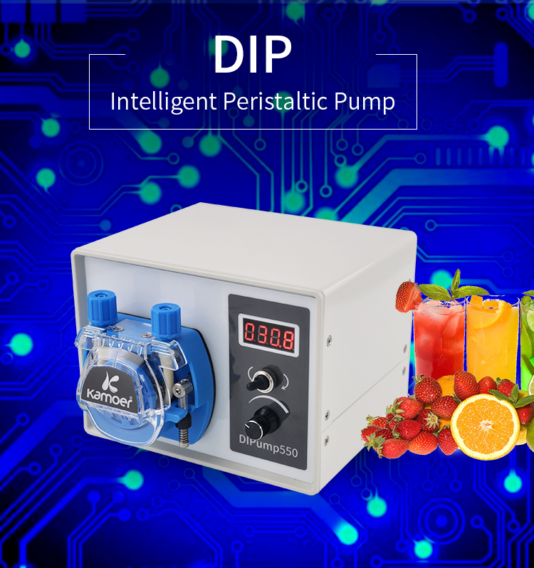 Kamoer DIP Mini Low Cost 12v I - Mini Peristaltic Pump 12V review and price